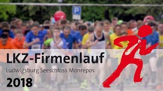 LKZFirmenlauf 2018  Ludwigsburger Kreiszeitung [upl. by Assenay]