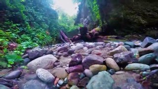 GoPro Adventure Cat Aidoneous the Worlds greatest exploring cat [upl. by Bocoj]