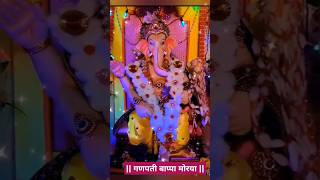 Ganapati Bappa Morya ganapatibappamorya bappa ganesh 🌺🌺🌺 [upl. by Ilegna]