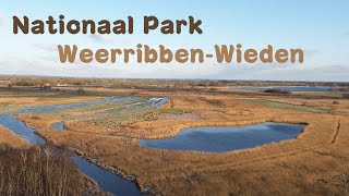 Nationaal Park WeerribbenWieden [upl. by Ankney451]