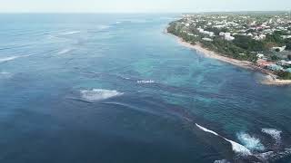 DÉCLARATION DE DÉCOUVERTE ARCHÉOLOGIQUE FORTUITE SUR LE LITTORAL GUADELOUPÉEN 🌊 A PA KAY KI LA 📢 [upl. by Eiahpets]