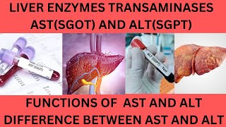 LIVER TRANSAMINASES AST SGOT AND ALTSGPTNORMAL RANGES FUNCTIONS AND CAUSES OF HIGH AST AND ALT [upl. by Anagnos]