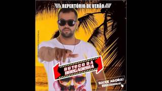 Buteco da Bregadeira  CD Repertório de Verão 2017 CD Completo [upl. by Ainekahs307]