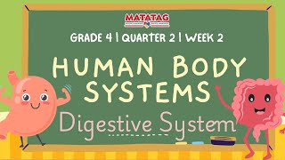 SCIENCE GRADE 4 Quarter 2 Lesson 2 Week 2 SY 20242025  MATATAG CURRICULUM  Digestive System [upl. by Genie]