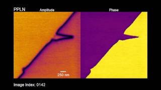 High Speed PFM of Lithium Niobate [upl. by Enyehc]