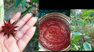 মেষ্টা টেঙা  ROSELLA JAM RECIPE  DELICIOUS shortvideo rosella deliciousfood ROSELLAJAM [upl. by Hillman]