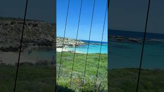 Rottnest Island Western Australia shorts [upl. by Levison]