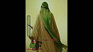 The 4 caliphs edit Collab with TawheedPosts islam islamicshorts shorts allah muhammadﷺ [upl. by Annodal]