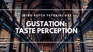 Gustation Taste Perception Intro Psych Tutorial 53 [upl. by Aihsila]