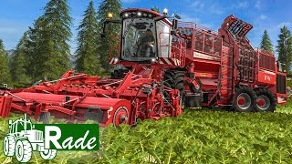 LS17 GEMEINDE RADE 37 Kartoffeln und Rüben in Rade  LANDWIRTSCHAFTSSIMULATOR 2017 [upl. by Georgeta]