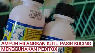 CARA MENGHILANGKAN KUTU PASIR PADA KUCING [upl. by Faletti]