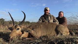 Hunting Reedbuck [upl. by Christianna]