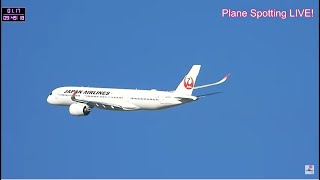 伊丹空港！Plane Spotting LIVE Osaka International Airport 02202024 [upl. by Murielle]