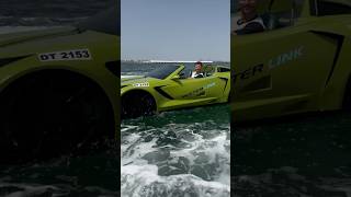 Slava PopovJet Car Water Link Dubai Rayna Tours [upl. by Leunamne]