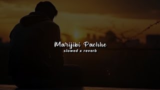 Marijibi Pachhhe Odia Sad SlowedReverb Lofi Song  Humane sagar [upl. by Neetsirhc]