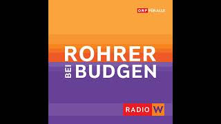 Rohrer bei Budgen Rote Jagdgesellschaft und pinker Partner [upl. by Clyde985]