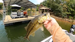 Fall Bass Fishing  Wedowee AL [upl. by Yrtneg]