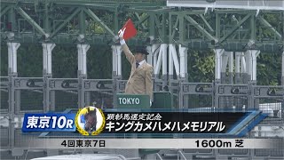 【競馬】2024年 キングカメハメハメモリアル【ウォーターリヒト  田辺裕信】 [upl. by Annoyk793]