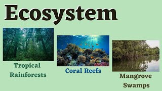 Ecosystem Tropical Rainforests Coral Reefs and Mangrove Swamps Science 6 [upl. by Oiralednac]