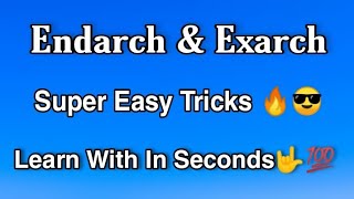 Endarch amp Exarch Conditions Super Easy Tricks  Anatomy Of Flowering Plants [upl. by Anees]