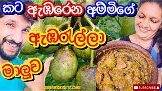 කට ඇඹරෙන ඇඹරැල්ලා මාලුවHow to make Ambarella MaluwaSangeeth VlogsSangeeth Satharasinghe [upl. by Werdnaed]