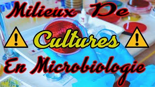 les milieux de cultures en microbiologie اوساط الزرع في الميكروبيولوجيا [upl. by Ekrub]