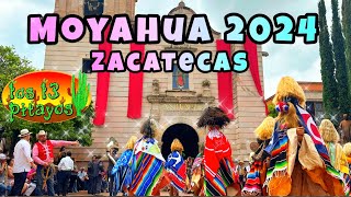 Moyahua Zacatecas 2024 [upl. by Nylac]