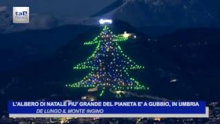 LALBERO DI NATALE PIU GRANDE DEL MONDO [upl. by Hafeenah147]