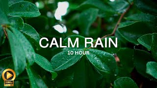 10 Hour  Spiritual Rain Meditation  Insomnia  Study  Focus  Spa  Calming Background Ambience [upl. by Abba]