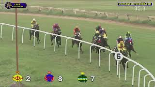 THALAIVAA wins The Sangam Plate Div2 [upl. by Nasar]