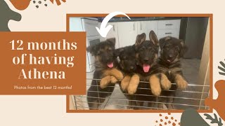 12 months with Athena in photos [upl. by Yelrahc69]