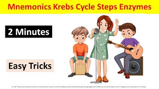 How to Remember Krebs Cycle Easily in 2 Minutes  TCA cycle Mnemonics amp Tricks  BiologyLectures [upl. by Radmen]