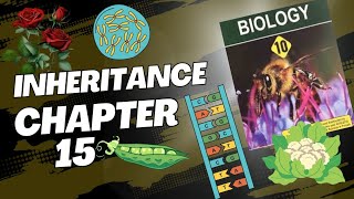 Law of independent assortmentinheritance Chapter 15Class 10th BiologyLecture 7 [upl. by Ayotaj869]