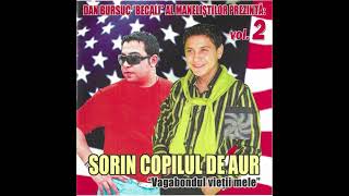 Sorin Copilul de Aur  Vagabondul vietii mele 2005 Varianta CD [upl. by Retsehc]