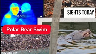 Vancouver Polar Bear Swim 2024 [upl. by Eisor]