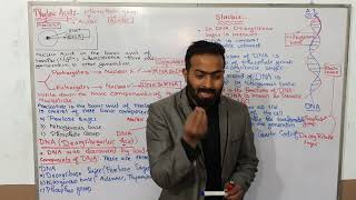 Part1 Nucleic acids  introduction to DNA and its functions  chemistry class 10 chapter 13 [upl. by Gnohc]