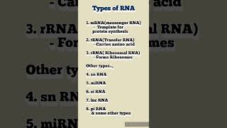 dailyshorts biochemistry rna biology medicalstudent pharmacy science proteinsynthesis gene [upl. by Stanfield]