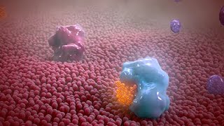 Nonsteroidal Antiinflammatory Drug Animation [upl. by Aloivaf]