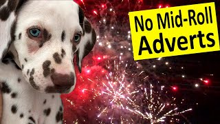 Fireworks Sounds Desensitising Sounds for Dogs  Fireworks Sound Effects  Fireworks Sounds for Dogs [upl. by Kaete736]