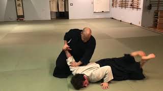 Aikido HanmiHandachi Ikkyo MoroteDori [upl. by Kynthia]