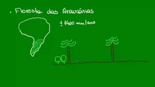 Mata das Araucárias  Ecologia  Biologia [upl. by Heymann]