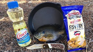 JUMBO Bluegill Catch amp Cook [upl. by Sandor]