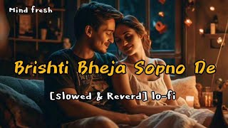 Brishti Bheja Sopno De Bengali romantic song slowed and reverb New lofi songs lofi song new video [upl. by Gilli]