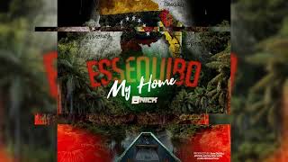 BNick  Essequibo My Home Official Audio [upl. by Eduino]