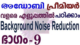 Adobe Premiere Malayalam Tutorial Part9 Noise Reduction [upl. by Nilhtac]