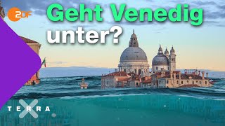 Warum Venedig versinkt  Terra X plus [upl. by Cosmo]