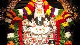 Holy Places Tirupati Balaji Darshan in Marathi [upl. by Wittie]