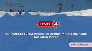 Einteilungsvideos Erwachsene Skischule Neukirchen Level 4 [upl. by Durnan]