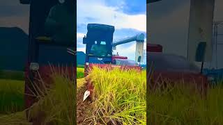 agronomics agriculture automobile agrimachines farming agromachine cropproduction machine [upl. by Doro383]