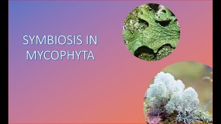 Symbiosis in Fungi Mycophyta [upl. by Jain]